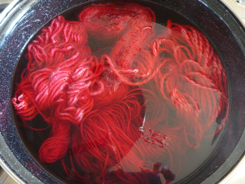 Home Dye Kit